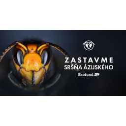 Zastavme sršňa Ázijského